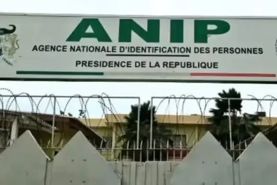 anip-benin