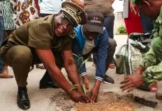 cotonou-plante-independance