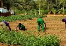 ecole-formation-agricole