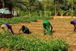 ecole-formation-agricole