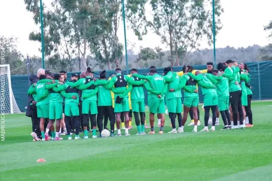 guepards-entrainement-can